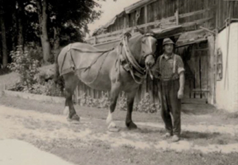 Bei der Arbeit mit dem Pferd Ferienwohnungen Dankllehen Bei der Arbeit mit dem Pferd Ferienwohnungen Dankllehen